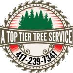 A Top Tier Tree Service